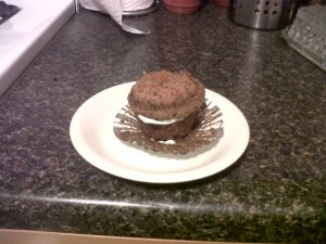 cupcake freaking sandwhich!