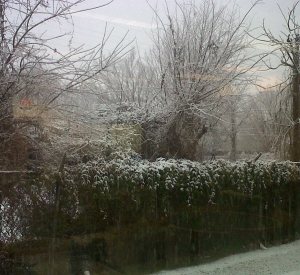 The view from my office this morning... 