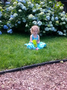 Hanging on the 'lawn'